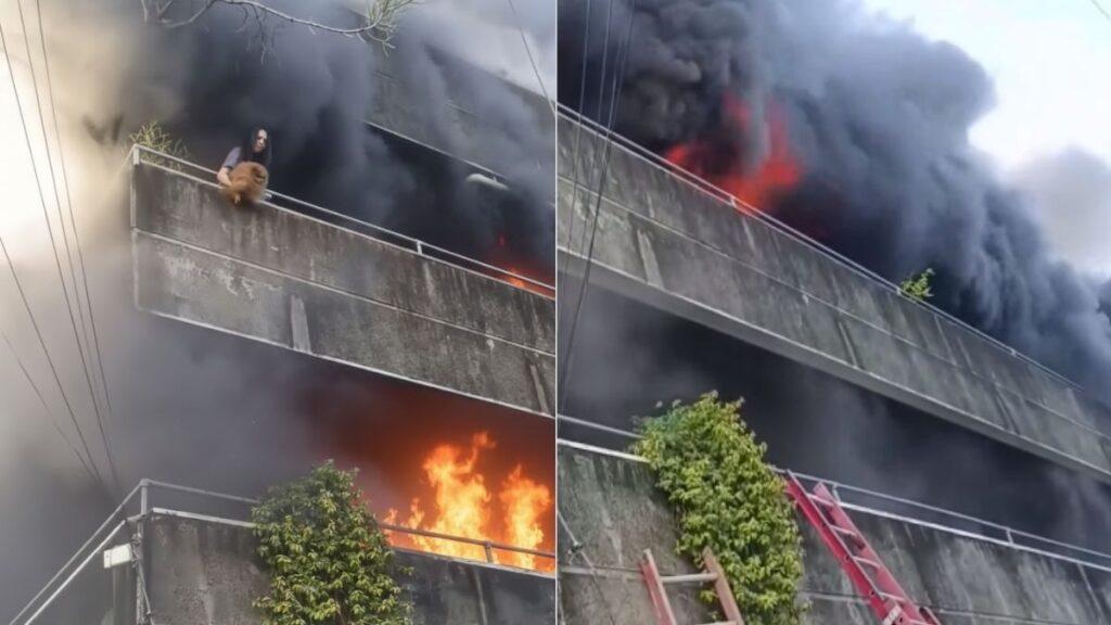 Mujer Heroica en Sacramento Arriesga su Vida en un Incendio para Salvar a sus Perritos