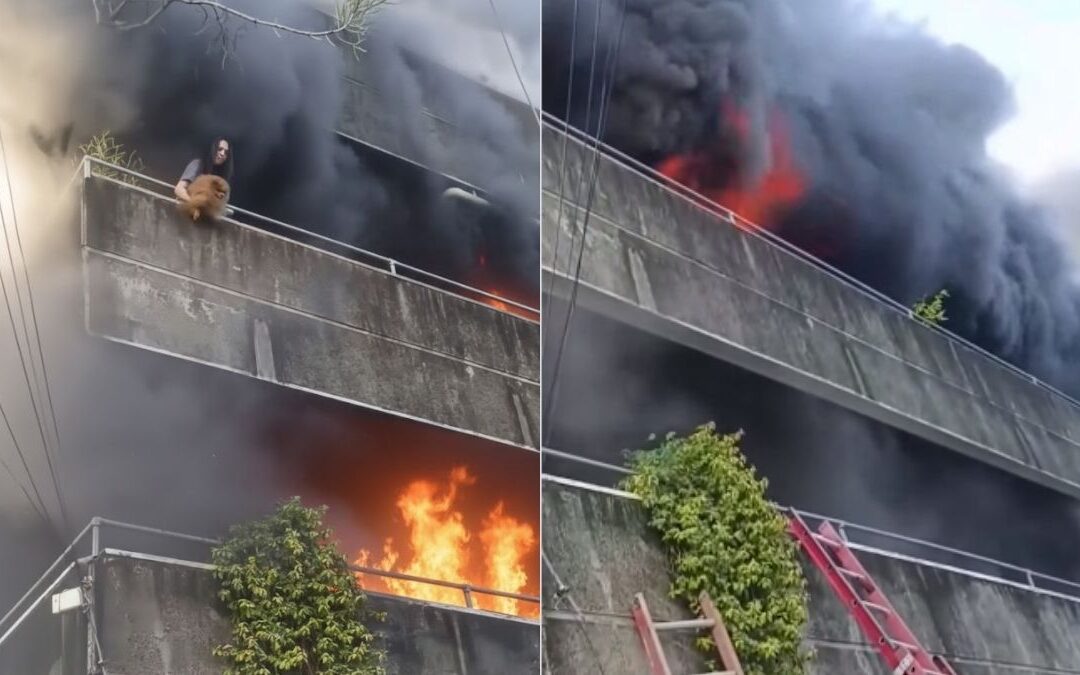 Mujer Heroica en Sacramento Arriesga su Vida en un Incendio para Salvar a sus Perritos