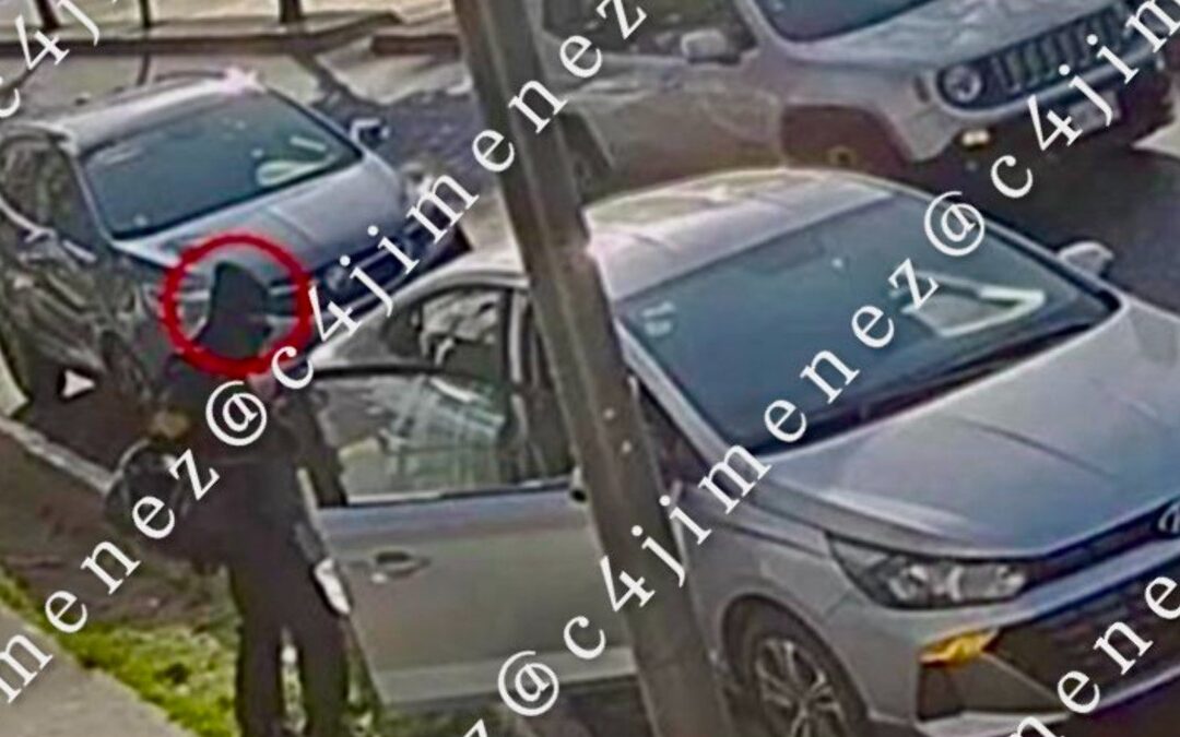 C4 En Alerta: Las 5 Noticias Más Importantes Desde Sacramento Hoy, 11 de Diciembre de 2025