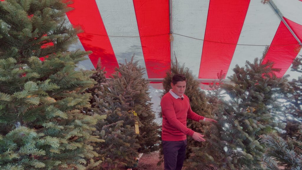 El Aumento de Precios Navideños Impacta a las Familias en Estados Unidos