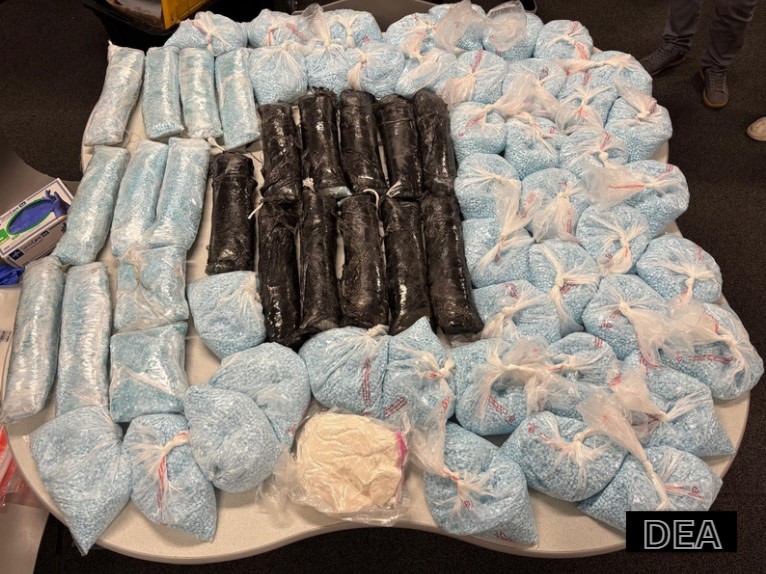 Carfentanil: La Droga Letal Más Potente que el Fentanilo Descubierta en Colorado