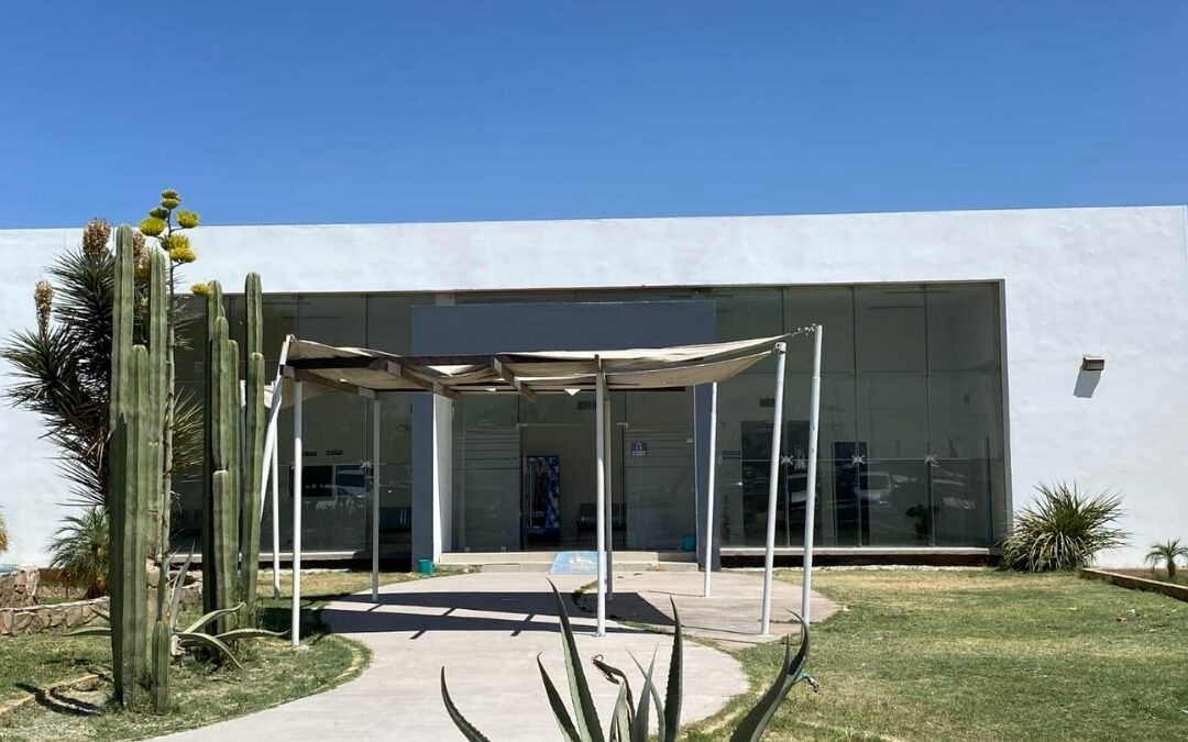 Olor a Putrefacción Desata Alarma en Villa Nazareno, Lerdo: ¿Qué Sucedió?