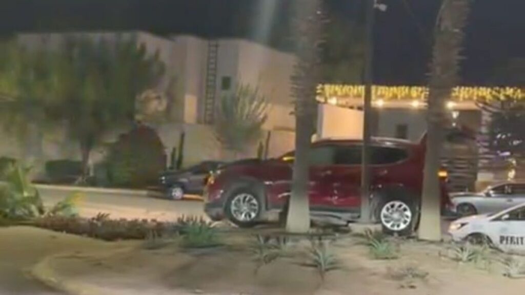 Conductor Abandona su Camioneta Tras Derribar Palma en el Camellón de Viñedos