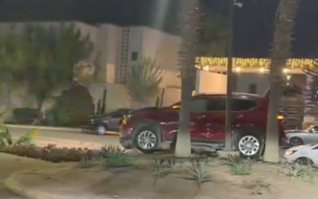 Conductor Abandona su Camioneta Tras Derribar Palma en el Camellón de Viñedos