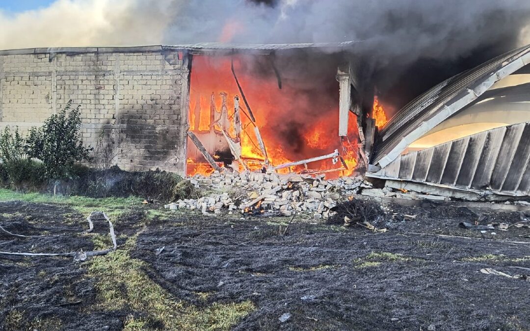 Impactantes VIDEOS del Accidente de Aeronave Cerca del Aeropuerto de Toluca