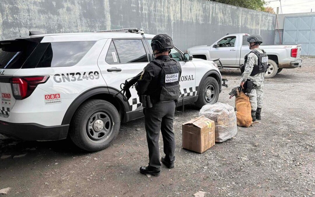 Sedena Decomisa 51 Kilos de Pirotecnia y 55 Mil Litros de Diésel en Nuevo León