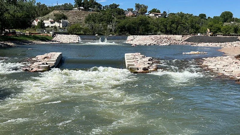 Estudio Revela Impacto de los Parques de Aguas Rápidas en la Migración de Peces en Colorado