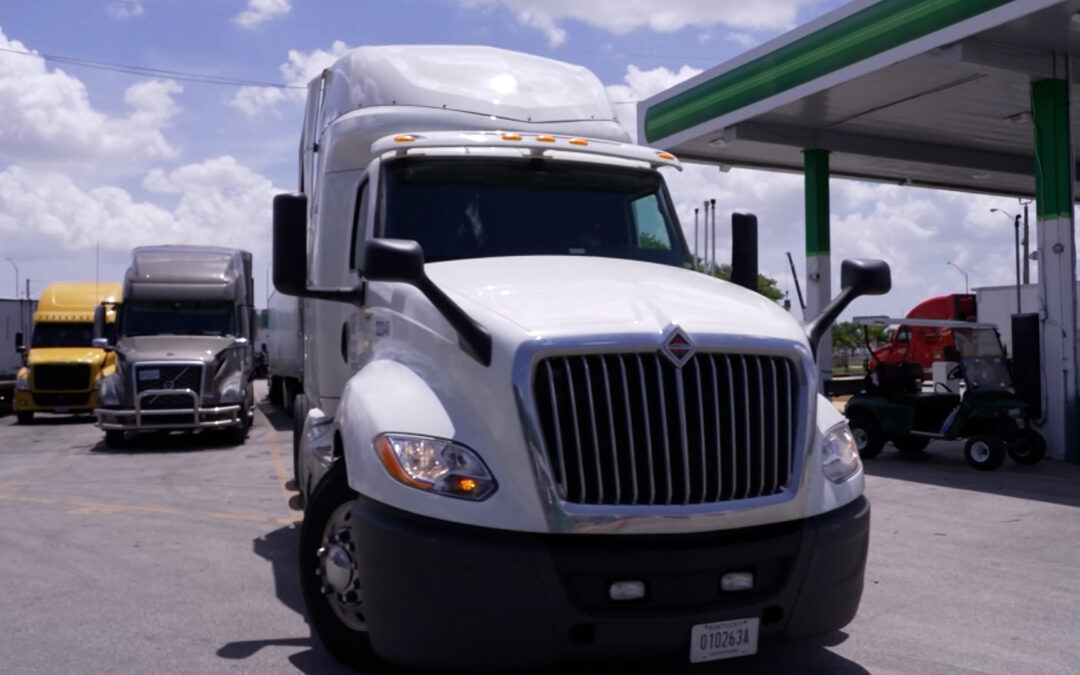 Suspensión de Licencias CDL para Inmigrantes en Colorado: Irregularidades Detectadas