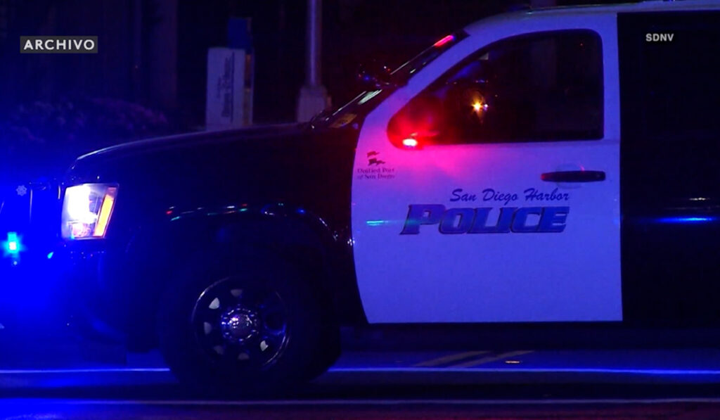 Activistas piden la destitución del oficial de policía en el caso de Konoa Wilson en San Diego