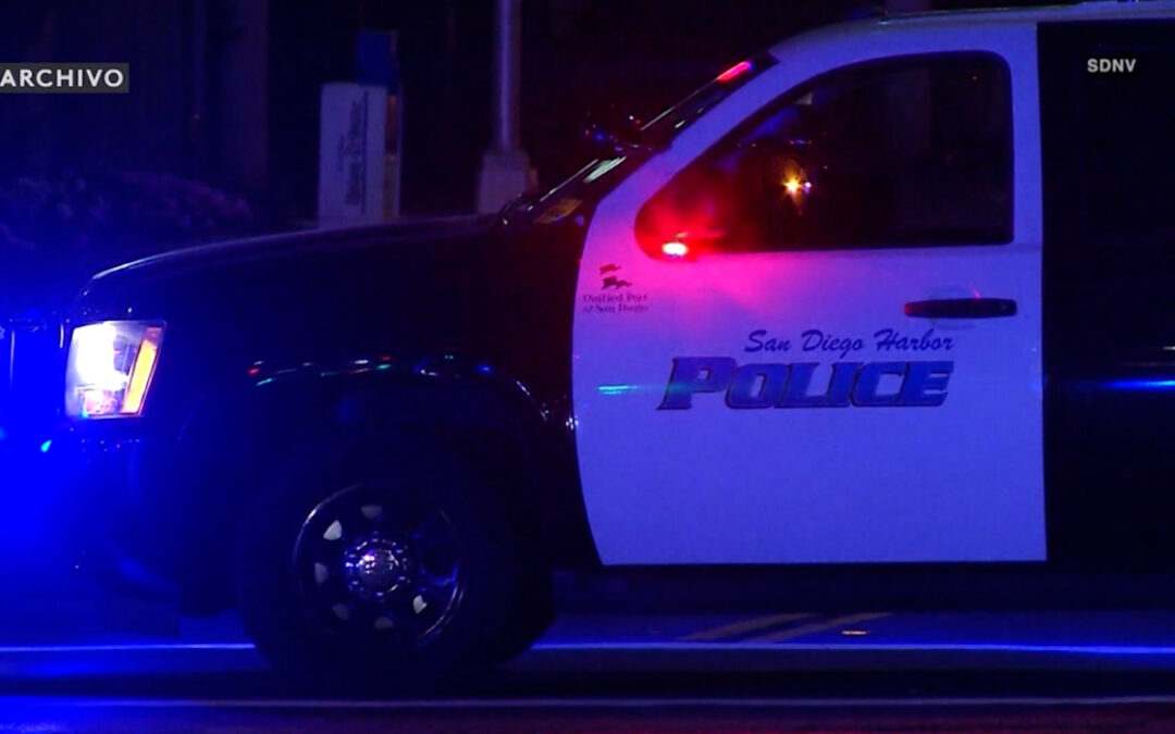 Activistas piden la destitución del oficial de policía en el caso de Konoa Wilson en San Diego