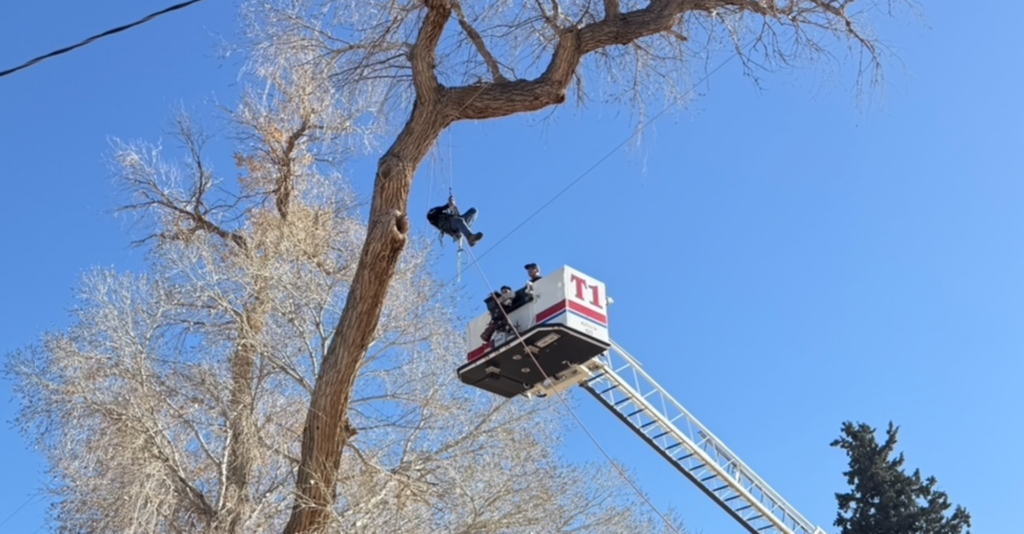 Rescate en árbol: Bomberos de Las Cruces salvan a trabajador atrapado en Doña Ana