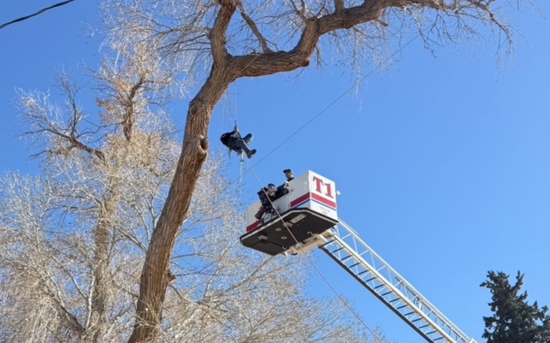 Rescate en árbol: Bomberos de Las Cruces salvan a trabajador atrapado en Doña Ana