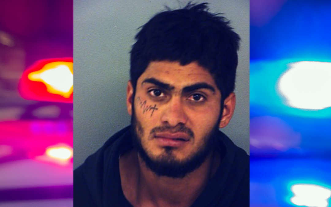 Detención de Conductor de 22 Años por DWI y Asalto Agravado en Horizon City