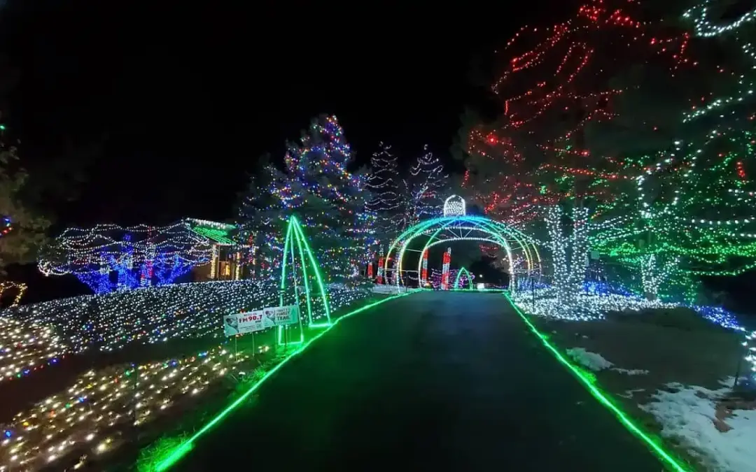 Festival de Luces de Franktown Cierra Antes de lo Previsto por Multitudes Récord