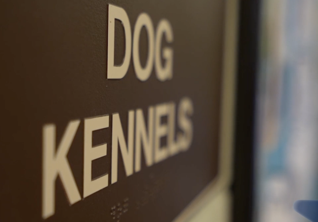 Palm Desert Implementa Programa de Esterilización de Mascotas y Prohíbe Crianza Ilegal