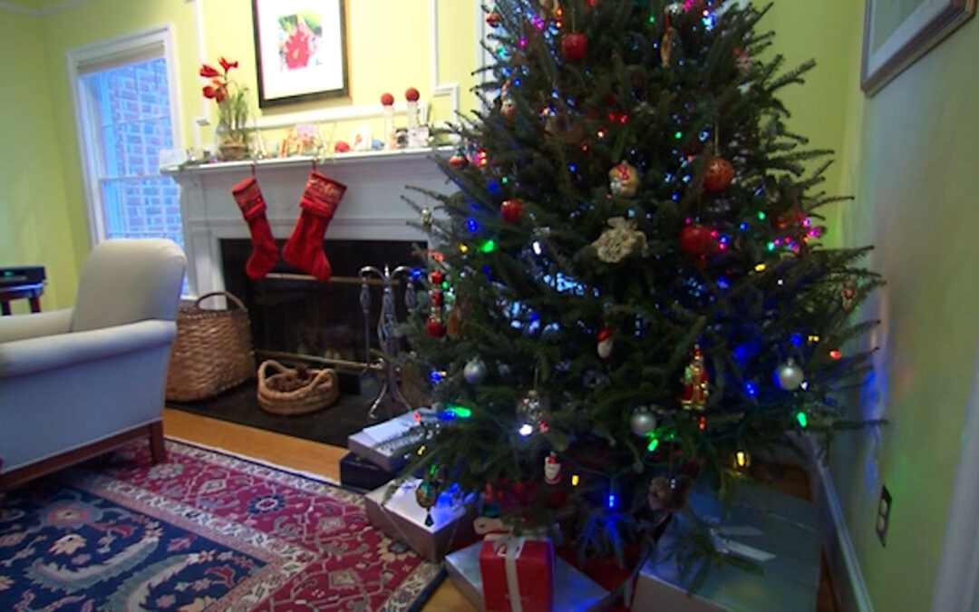 Seguridad en el Hogar: ¡Toma Precauciones y Protege a los Menores!