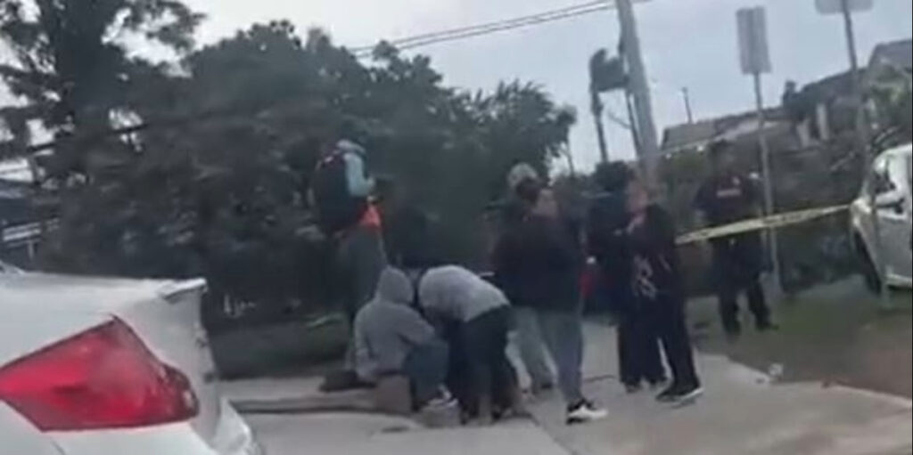 Hombre muere tras trágica caída de árbol en City Heights, San Diego