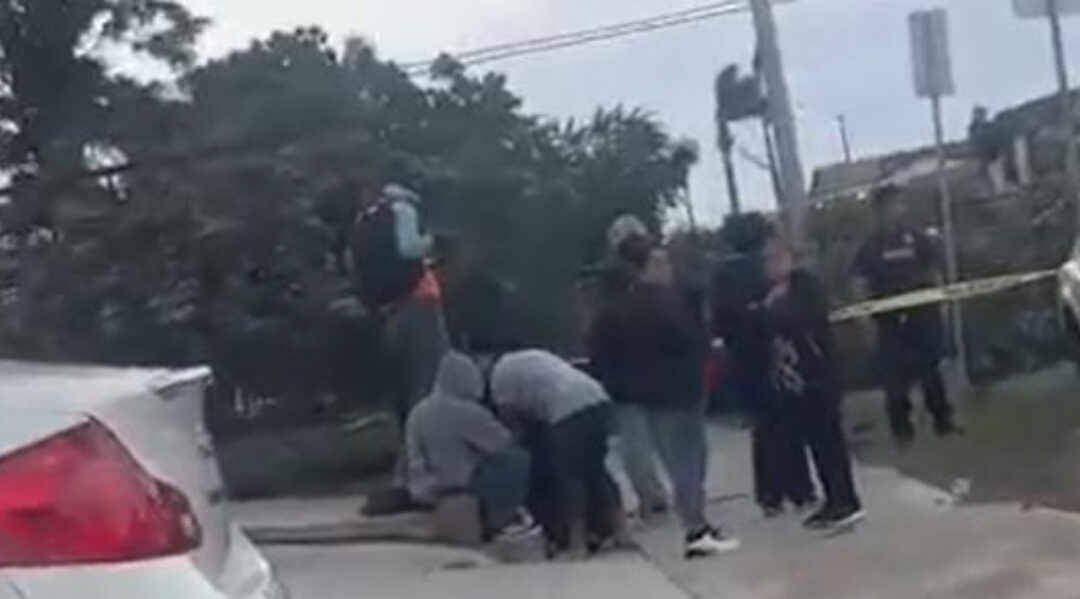 Hombre muere tras trágica caída de árbol en City Heights, San Diego