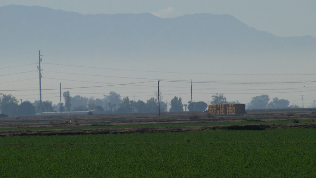 Evita la Contaminación del Aire: Recomendaciones sobre Fogatas en las Fiestas de Fin de Año