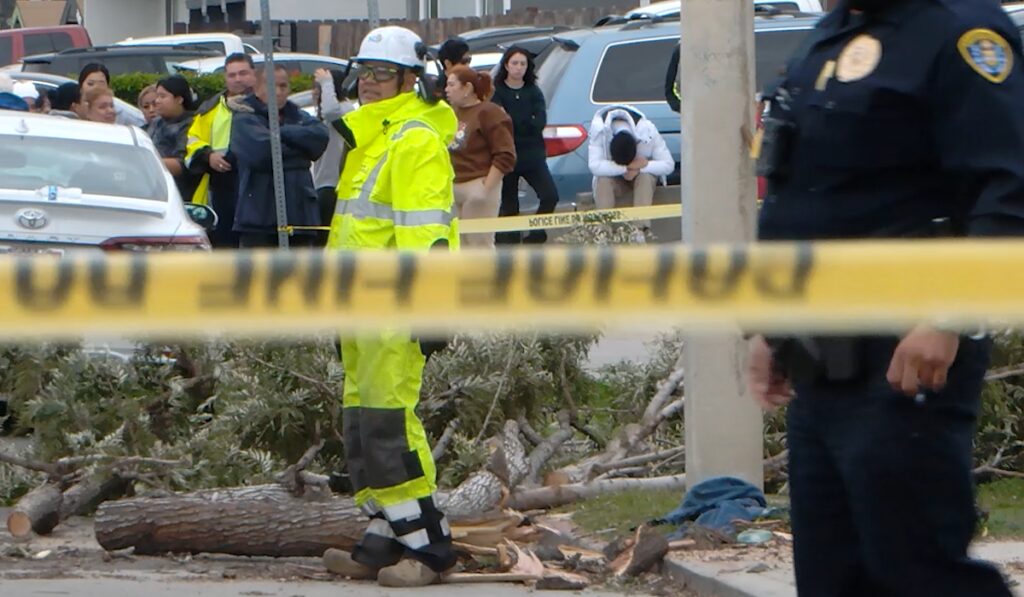 Tragedia en San Diego: Muerte por caída de árbol en Nochebuena