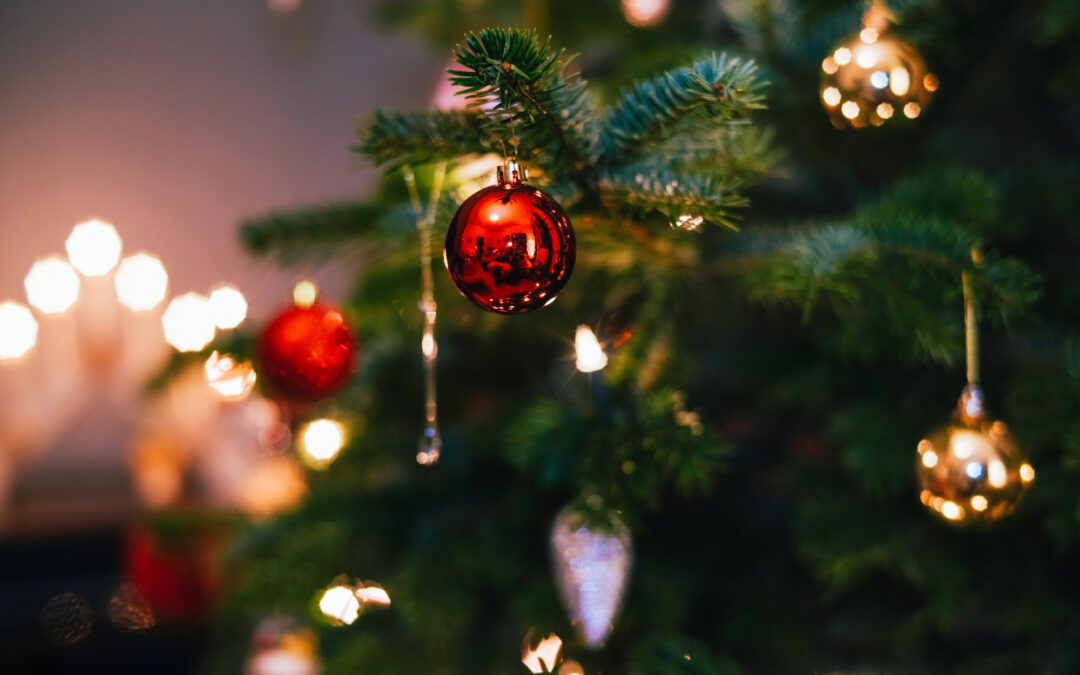 Reciclaje de Árboles de Navidad: ¡Participa en TreeCycle Denver 2025-2026!