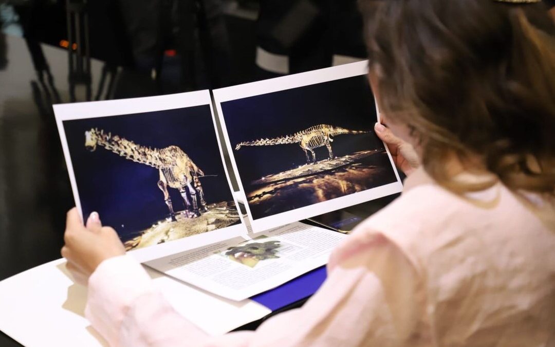 Confirmación de San Pedro Garza García sobre el Fósil ‘Einstein’: Un Préstamo, No una Donación