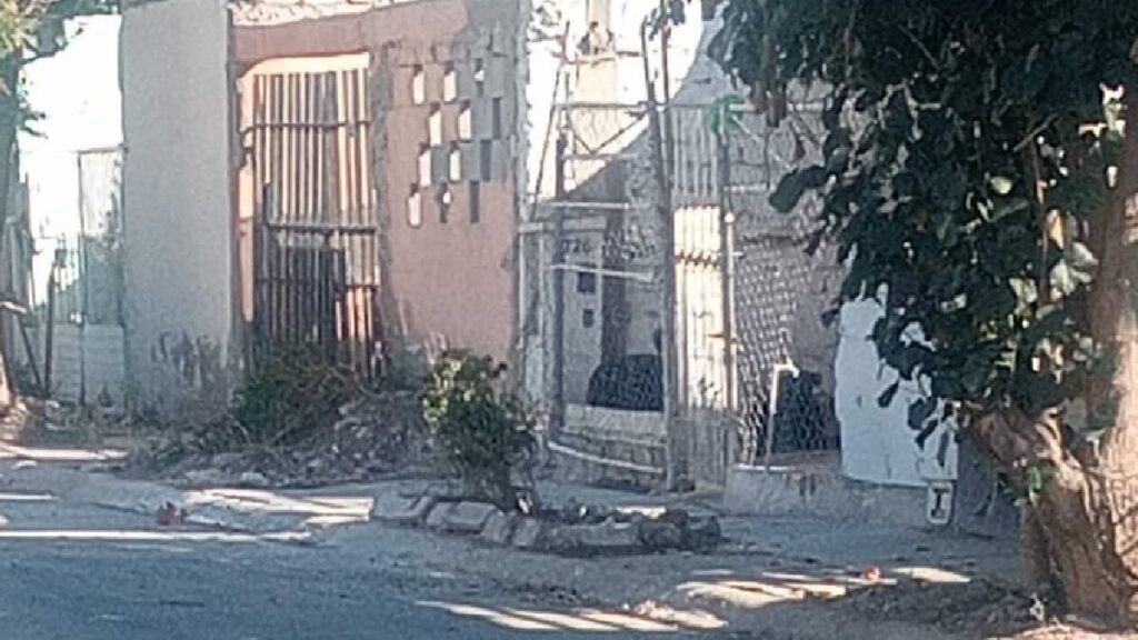 Torreón: Denuncian peligro por perros agresivos y abandono en Quintas los Nogales