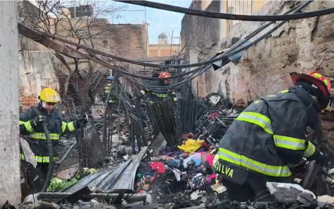 Incendio Devastador Arrasa una Casa en Tonalá y Cobra la Vida de Tres Perritos