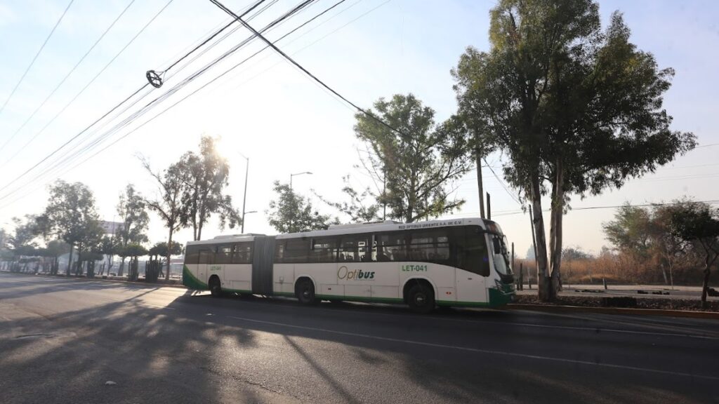 Retrasos de Transporte Público en León Alcanzan los 30 Minutos este 1 de Enero de 2026