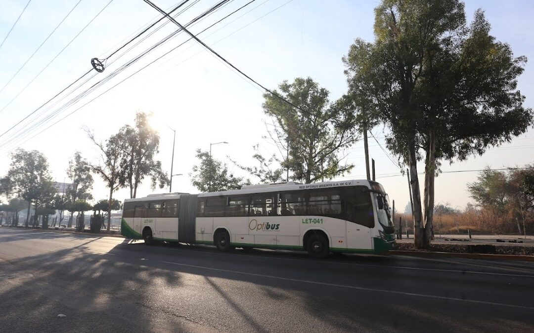 Retrasos de Transporte Público en León Alcanzan los 30 Minutos este 1 de Enero de 2026