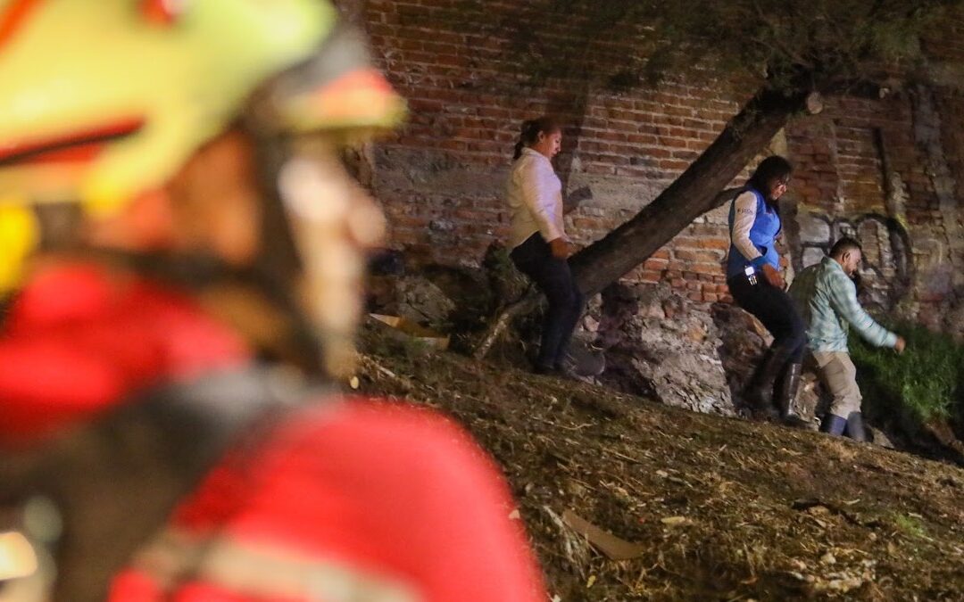 Festejos de Fin de Año en León: 17 Incendios en Viviendas Generan Alerta de Seguridad