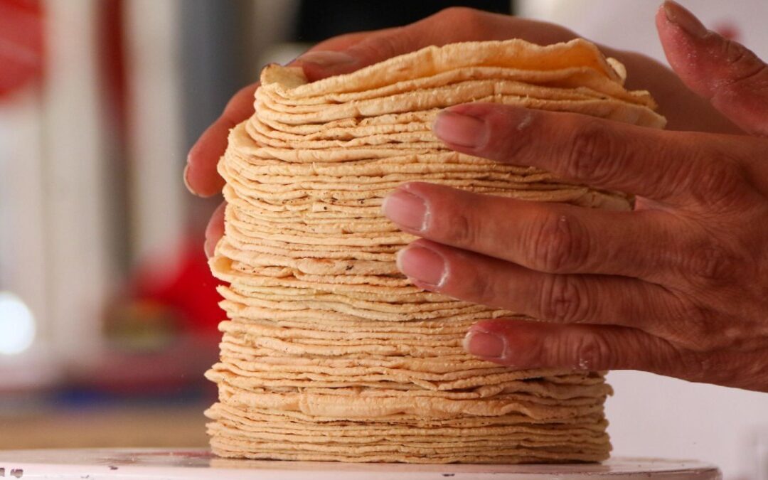Precios de la Tortilla y Gasolina en Puebla: Impacto en el Costo de Vida para 2026