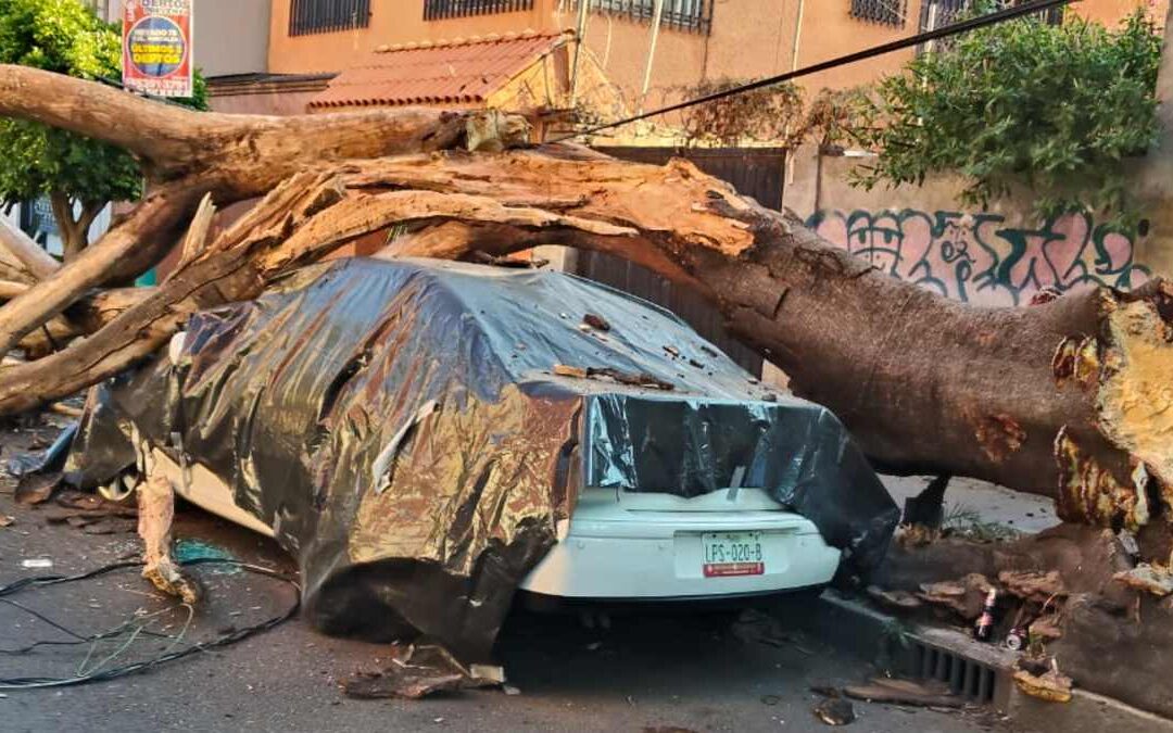 Sismo en San Marcos, Guerrero: Más de 30 Inmuebles Afectados en CdMx y 2 en Peligro de Colapso