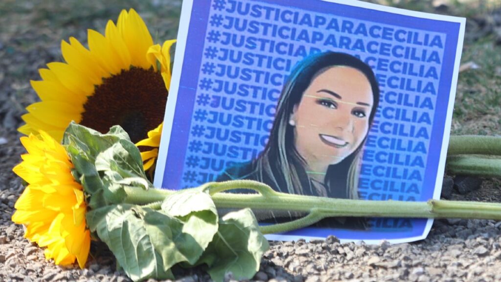 Descubre la Ley Mozón: Castigos y Estados que la Aprueban