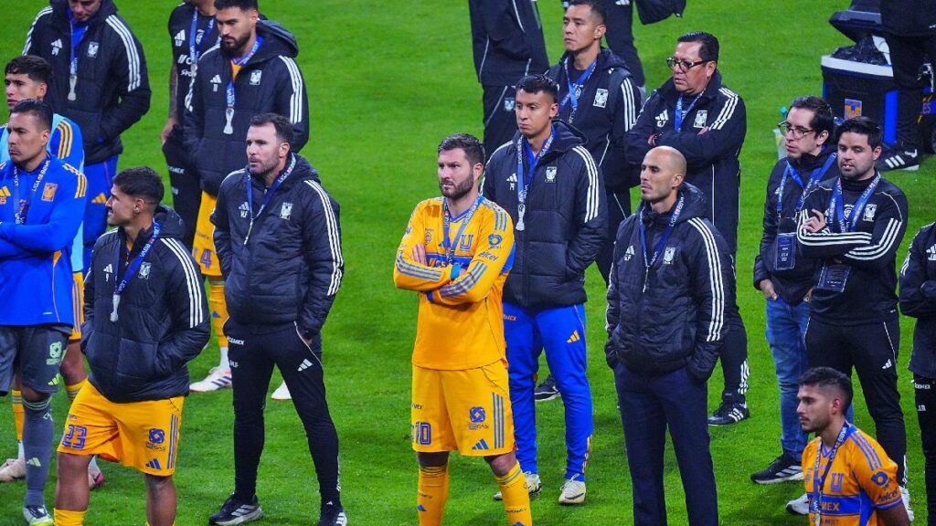Tigres y su extraño historial tras jugar finales en la Liga MX: ¿maldición felina?
