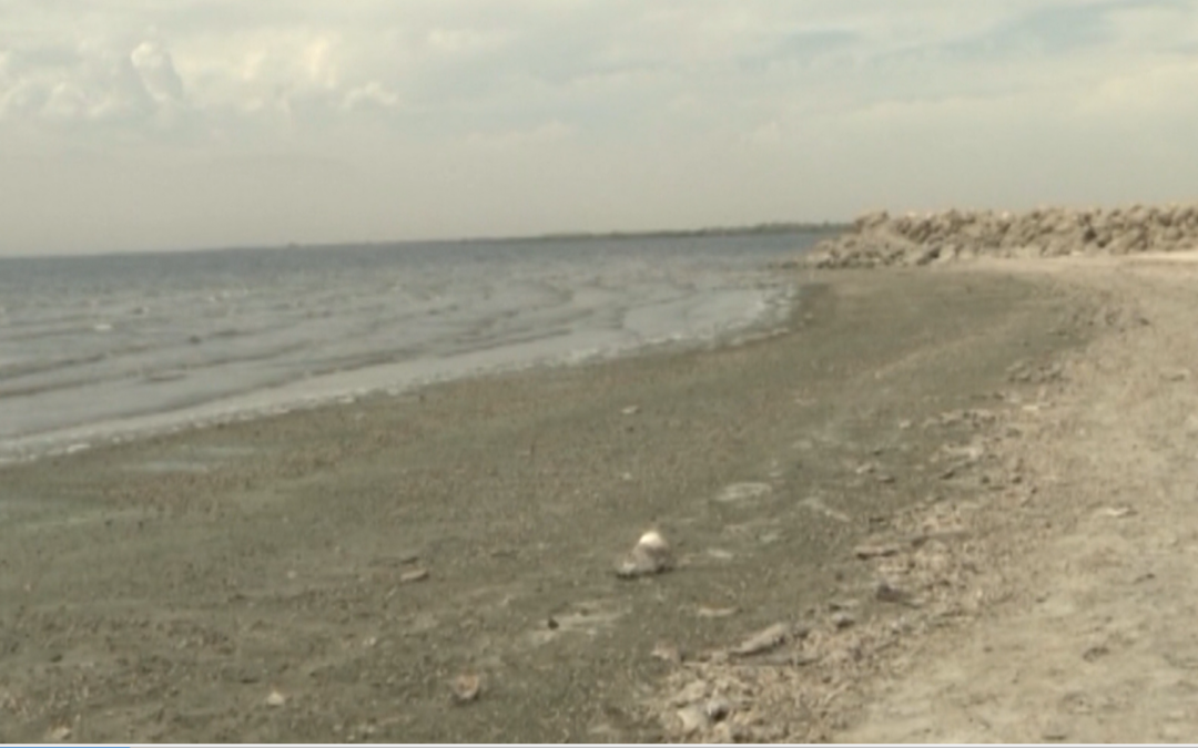 Restos Humanos Encontrados en Salton City: La Oficina del Sheriff del Condado de Imperial Busca Asistencia del Público